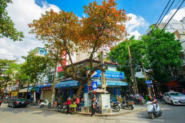 Ảnh: Hà Nội 'thay áo' với sắc đỏ lá bàng