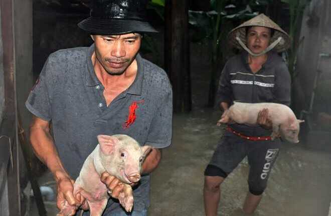 Quảng Ngãi: Lũ lớn tràn về, dân rã rời chạy lụt trong đêm