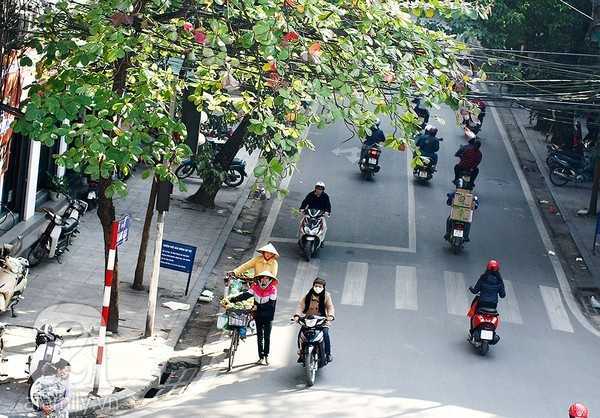 Thời tiết hôm nay 20/12: Miền Bắc hửng nắng, miền Nam mưa dông