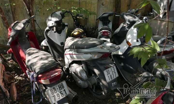 Hy hữu: Tìm được xe SH bị mất khi đọc báo