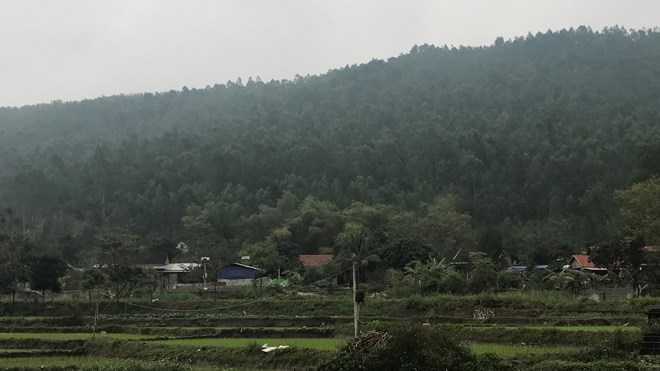 Vĩnh Phúc xóa sổ rừng phòng hộ để xây nghĩa trang?