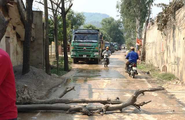 Dân mang thân cây chặn xe chở đất, quốc lộ 1A ùn tắc cục bộ