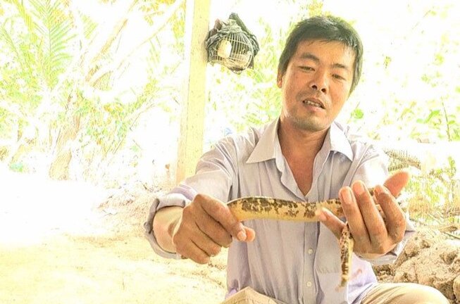 Bắt được con lươn có màu sắc kỳ lạ ở Vĩnh Long