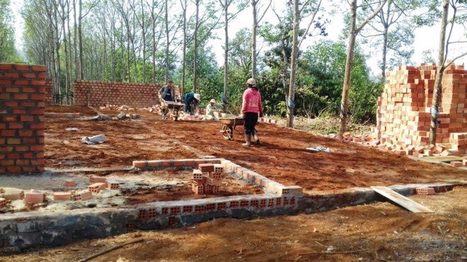 Chỉ chỗ cho mẹ xây nhà chờ đền bù, Trưởng phòng Kinh tế hạ tầng bị cách chức