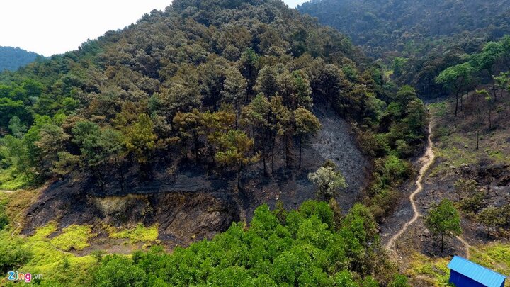Hiện trường tan hoang sau vụ cháy rừng lớn nhất lịch sử ở Hà Nội