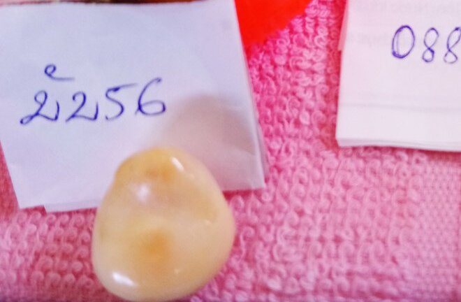 Tặng ốc giác, được trả lại viên ngọc quý giá gần nửa tỷ đồng