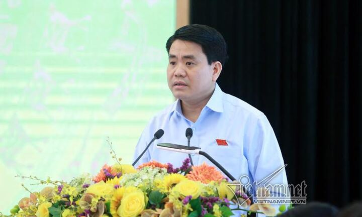 Chủ tịch Hà Nội: 'Di dời 1 cây xà cừ mất chục triệu, chưa biết trồng vào đâu'