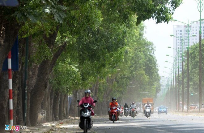 Chủ tịch Hà Nội lý giải việc phải chặt hạ, di dời hơn 1.300 cây xanh