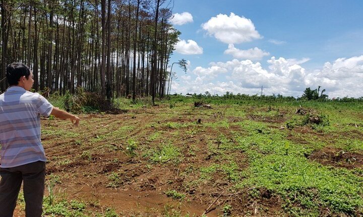 Thanh tra toàn diện công ty của gia đình nguyên Phó giám đốc Công an tỉnh Đắk Nông