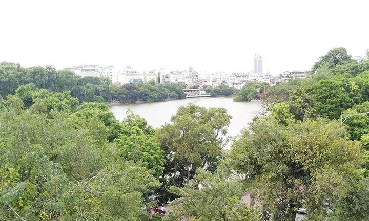Hà Nội bác thông tin thay cây xanh quanh Hồ Gươm