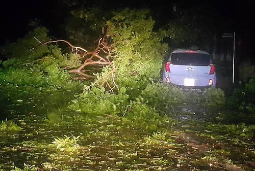 Bão số 2 quét qua Nghệ An - Hà Tĩnh, cây xanh bật gốc, nhà cửa tốc mái