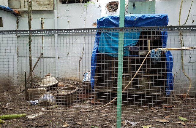 Chủ nhà bị cán bộ bẻ khóa: 'Sao chỉ bắt gà Đông Tảo mà không bắt luôn bồ câu?'