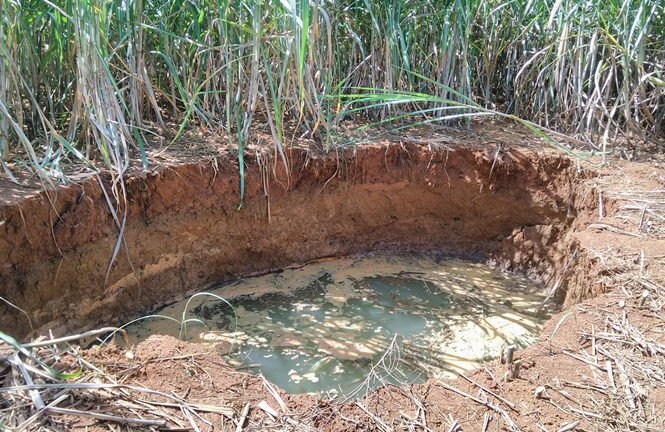 Hố 'tử thần' há miệng trong vườn mía ở Thanh Hóa