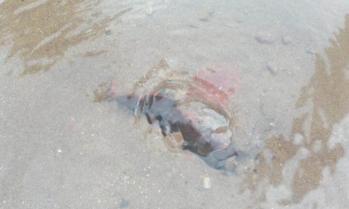 Nghi vấn vỡ đường ống nước sạch ở Hà Nội dịp nghỉ lễ Quốc Khánh 2/9