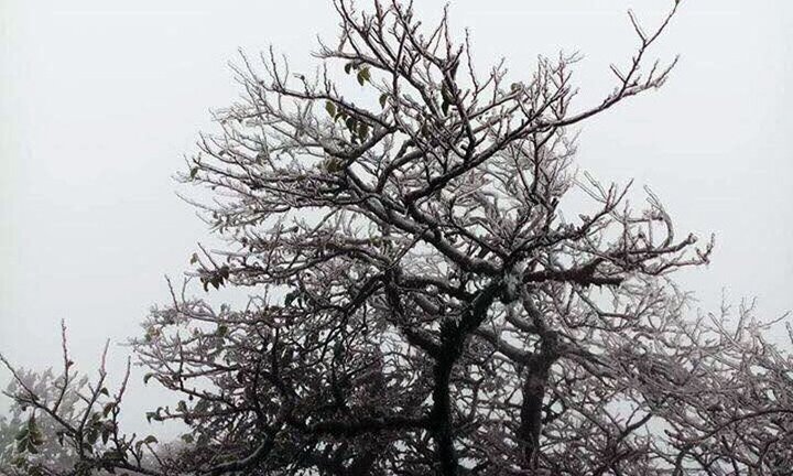 Nhiệt độ xuống dưới 1°C, đỉnh núi Cao Bằng phủ kín băng giá