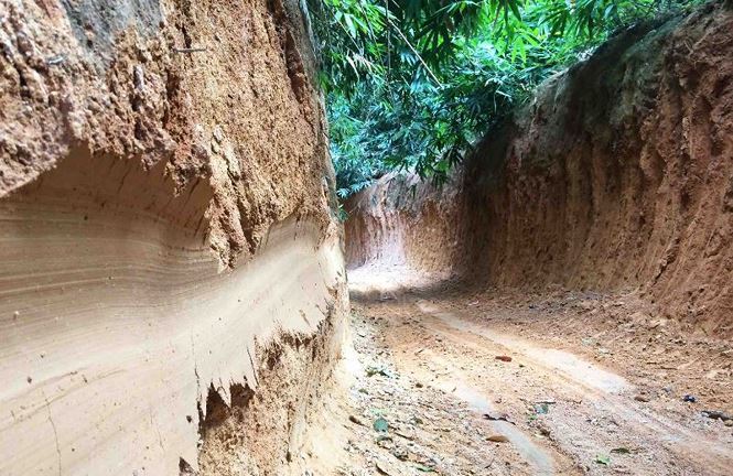 Lâm tặc khoét núi mở đường để kéo gỗ, cán bộ kiểm lâm nói chỉ là 'đường mòn'