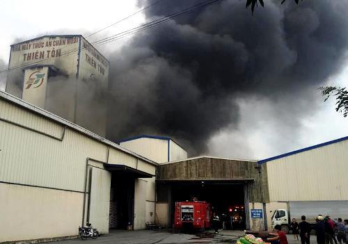 Công ty sản xuất thức ăn chăn nuôi cháy lớn chiều cuối tuần