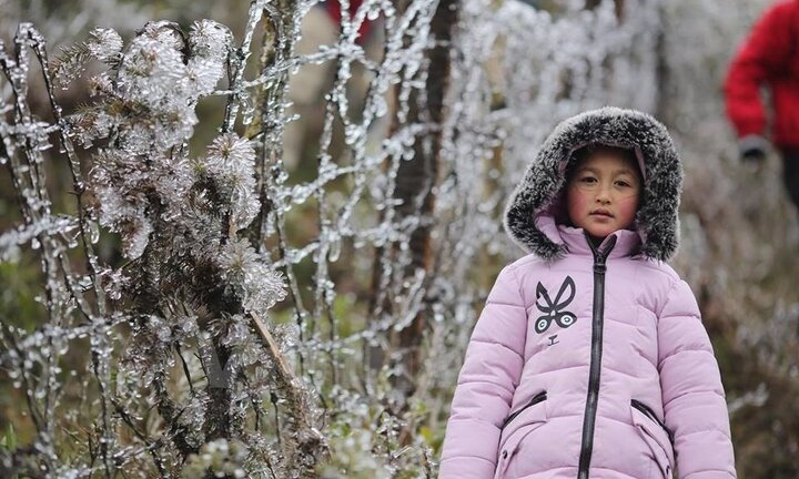 Dự báo thời tiết hôm nay ngày 31/1: Hà Nội rét 8°C, vùng núi cao có nơi dưới 3°C
