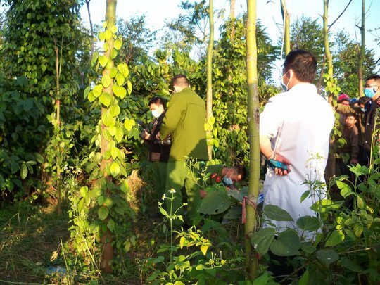 Phát hiện thi thể thai phụ trong tư thế treo cổ ở vườn tiêu gần nhà