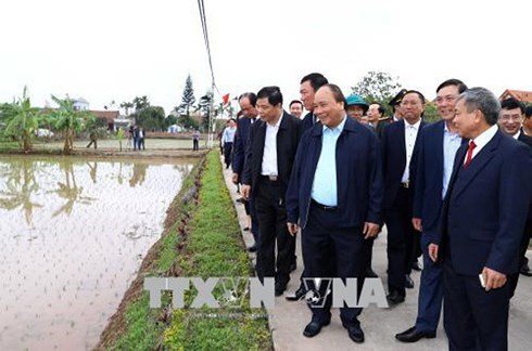 Vì sao năm nay Thủ tướng không chúc Tết Văn phòng Chính phủ?