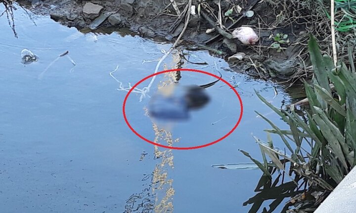 Phát hiện xác chết nam giới nổi lềnh bềnh trên sông Sài Gòn