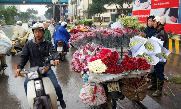 Chuyên gia khí tượng: Hà Nội chuyển mưa rét đột ngột ngày 8/3