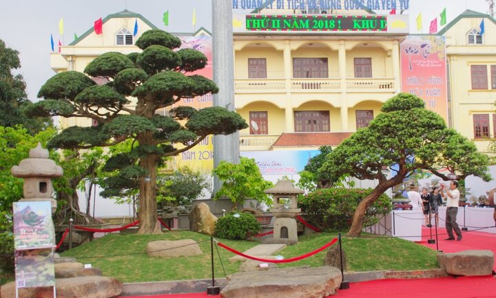 Ảnh: Ngắm tiểu cảnh vườn Nhật trị giá gần 10 tỷ đồng ở Quảng Ninh