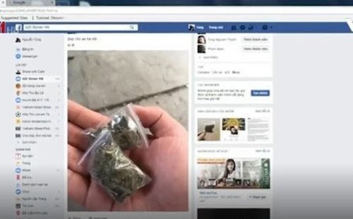 Mua bán cần sa công khai trên mạng: Phó Thủ tướng chỉ đạo làm rõ