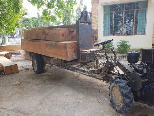 Chủ tịch xã gọi đi bắt gỗ lậu, kiểm lâm và chủ rừng hôm sau mới tới