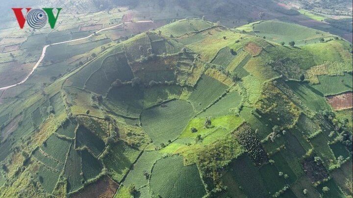 Ảnh: Ngắm nhìn núi lửa Chư Đăng Ya - Thiên đường của hoa dã quỳ ở Gia Lai