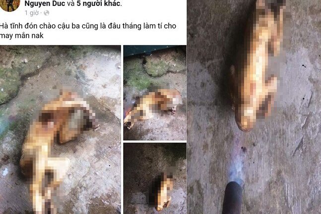 Nam thanh niên ở Hà Tĩnh đăng ảnh giết khỉ lên Facebook bị chỉ trích dữ dội