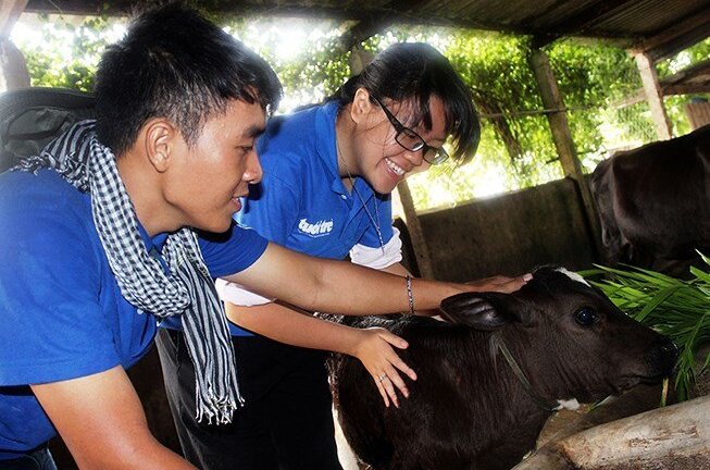 Vì sao Luật Chăn nuôi 2018 quy định không để vật nuôi chứng kiến cảnh đồng loại bị giết mổ?