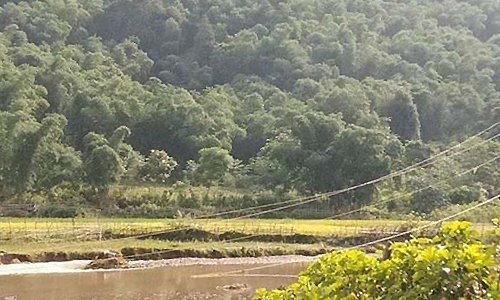 Đi qua suối, đôi vợ chồng mới cưới bị điện giật chết thương tâm