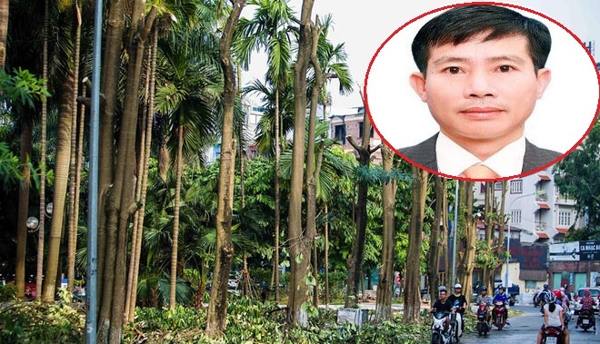 Dịch chuyển 100 cây hoa sữa từ Hồ Tây lên bãi rác Nam Sơn có 'khử' được mùi hôi?