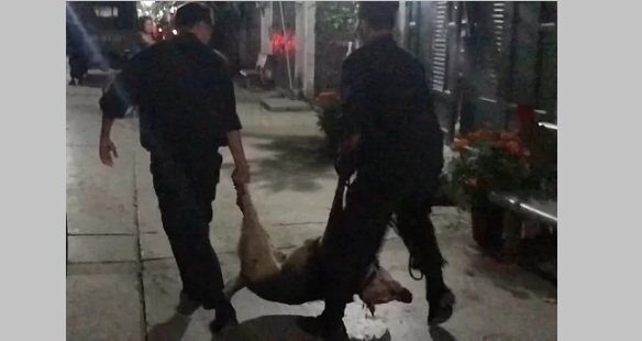 Manh mối phá án thảm sát 5 người chết chiều 30 Tết ở Sài Gòn