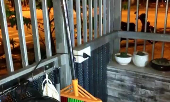 Đóng cổng lúc trời mưa, nam sinh ở Đà Nẵng bị điện giật chết thương tâm