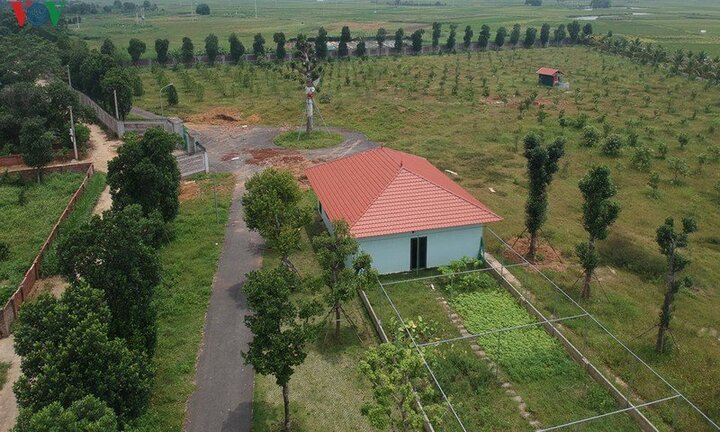 Kiểm điểm Giám đốc Sở KH-ĐT Hà Nội Nguyễn Mạnh Quyền