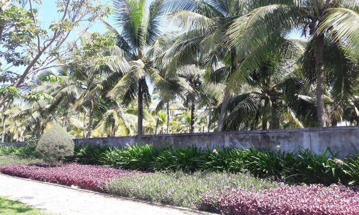 Thu hồi đất dự án, mở lối xuống biển cho dân Đà Nẵng