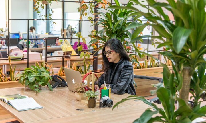 Nhìn không gian xanh mát này, ai cũng muốn làm việc