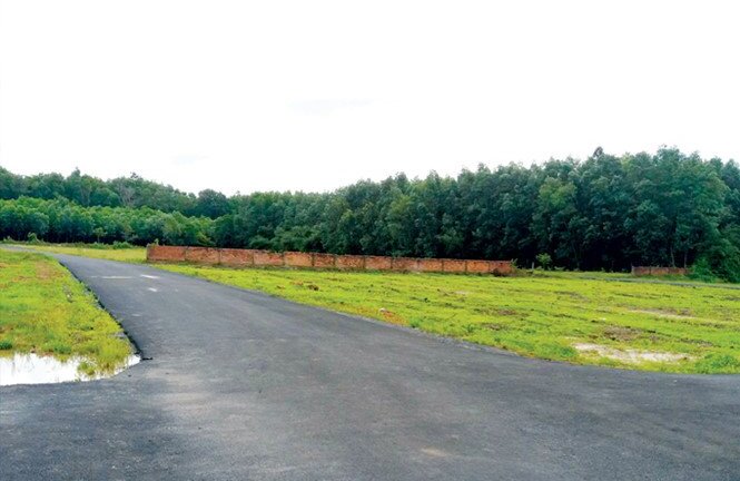 Đất quanh sân bay Long Thành 'sốt vì cò'