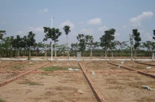 HoREA cảnh báo tình trạng phân lô tách thửa tràn lan sau Quyết định 60