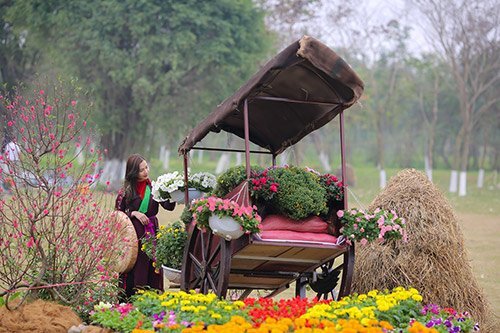 Rộn ràng không khí Tết ở các khu đô thị