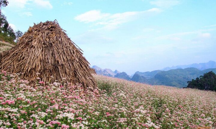 Những điểm du lịch không thể bỏ qua khi trời se lạnh
