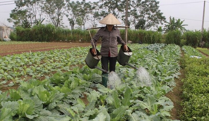 Nông dân được vay 200 triệu đồng không cần tài sản đảm bảo