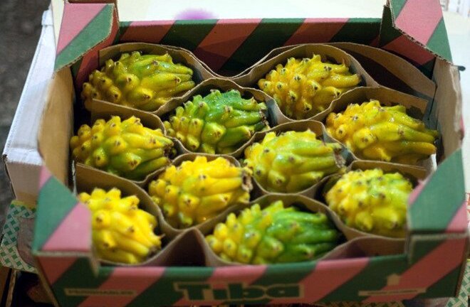 1 triệu đồng/kg thanh long vàng trưng Tết