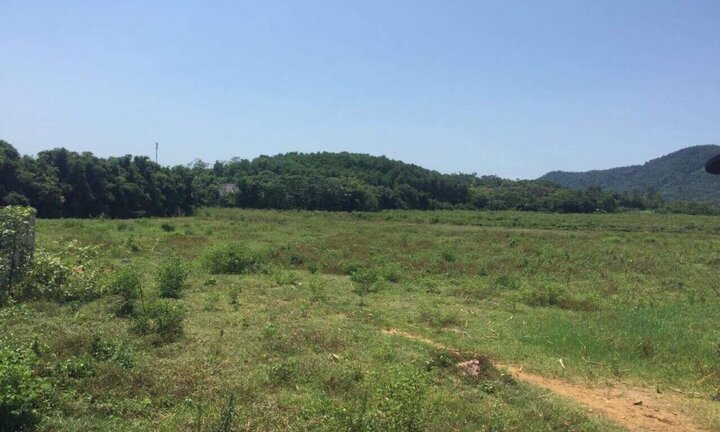 Người nhà nguyên lãnh đạo huyện Quốc Oai, Hà Nội được thuê đất giá 'bèo', lộ nhiều khuất tất?