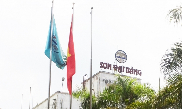 Sở hữu nhiều ‘đất vàng’, Sơn Tổng hợp Hà Nội có là ‘miếng mồi ngon’?