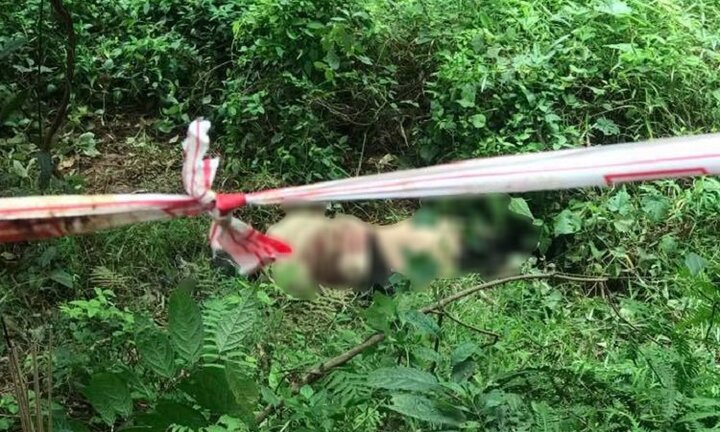 Người đàn ông chết với nhiều vết thương trong lô cao su ở Đồng Nai