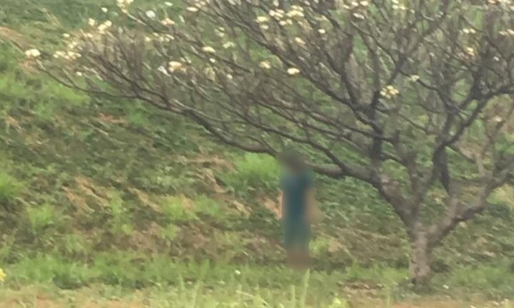 Người đàn ông chết trong tư thế treo cổ trên cây ở Đồng Nai