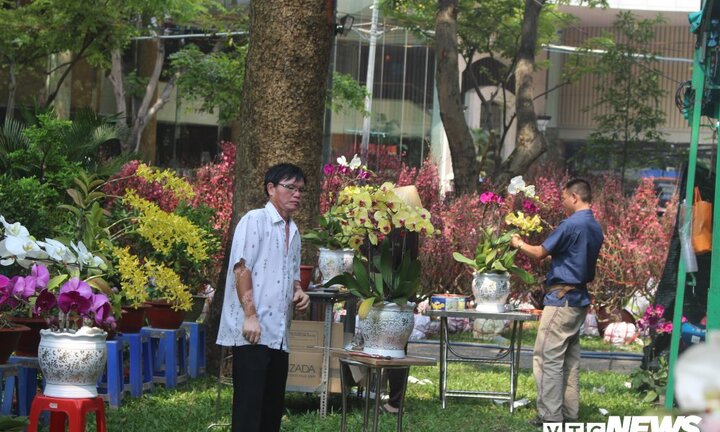 Ảnh: Sài Gòn rực rỡ sắc hoa, cây cảnh ngày cận Tết